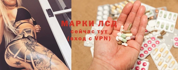 ГАЛЛЮЦИНОГЕННЫЕ ГРИБЫ Новодвинск