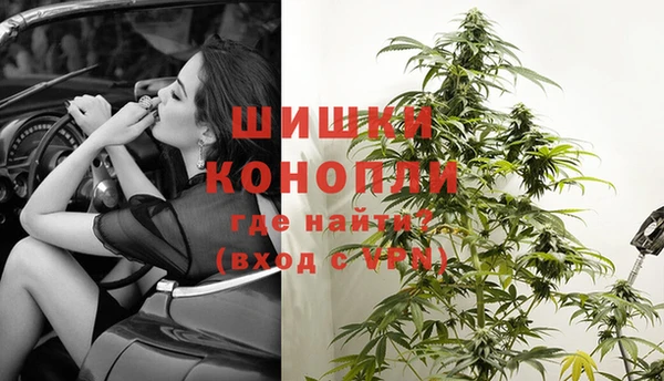 ГАЛЛЮЦИНОГЕННЫЕ ГРИБЫ Новодвинск