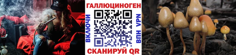 Псилоцибиновые грибы мицелий  KRAKEN зеркало  Новомичуринск 